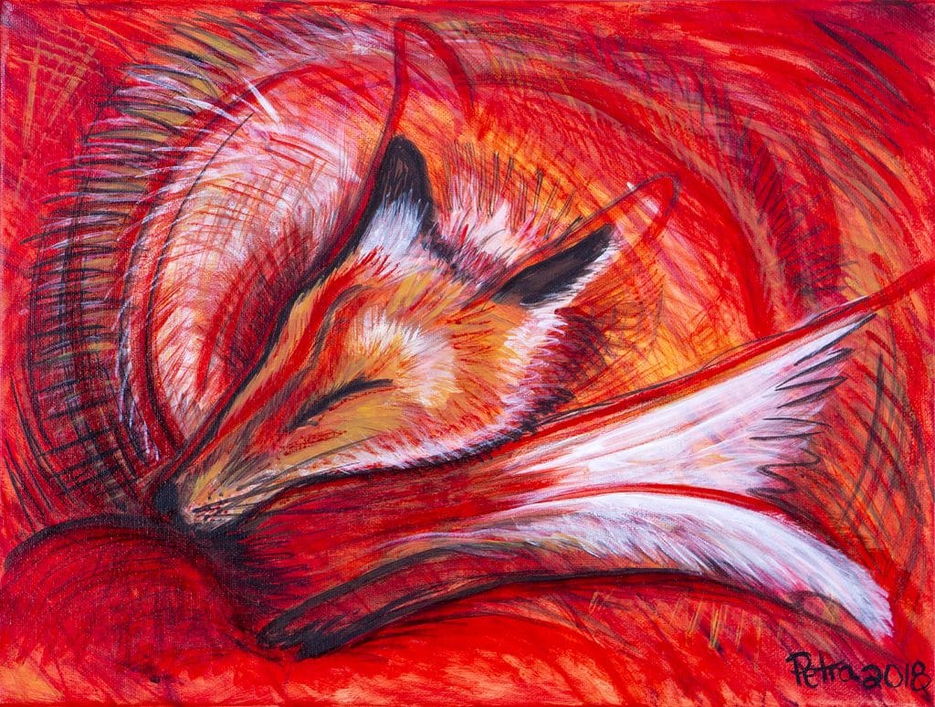 Foxes Using Energy Red Fox Energy - Artistic Energies